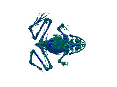 Baseline: pyvista-DataSetFilters-voxelize_binary_mask-12dbb0aec43f8899_04_00_vtksz