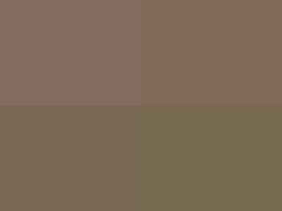 Baseline: pyvista-Texture-flip_y-7b4718d8fd392287_00_00_vtksz