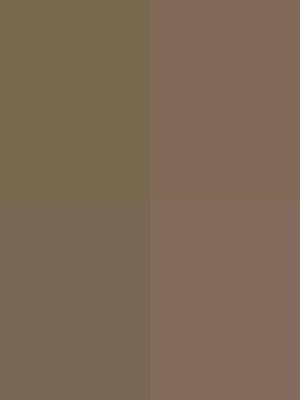 Baseline: pyvista-Texture-rotate_cw-313c6a99082221de_00_00_vtksz