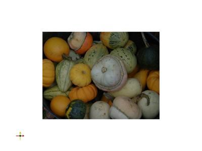 Baseline: pyvista-examples-downloads-download_gourds-689ae74cf93c01a5_00_00_vtksz