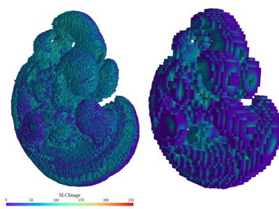 Baseline: sphx_glr_resampling_003_vtksz