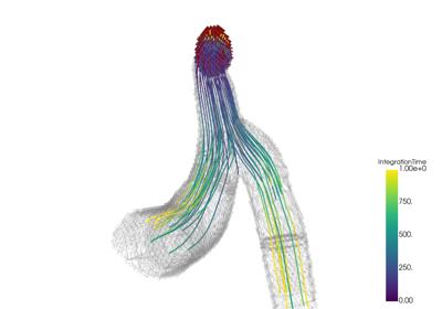 Baseline: sphx_glr_streamlines_thumb