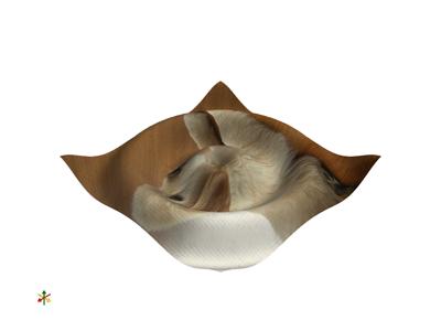 Baseline: sphx_glr_texture_004_vtksz