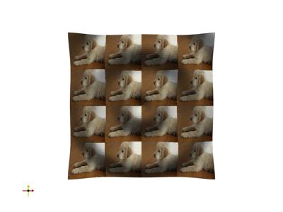 Baseline: sphx_glr_texture_009_vtksz