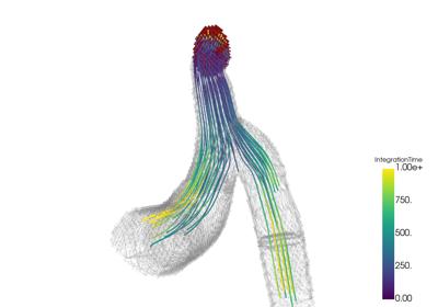 Generated: sphx_glr_streamlines_thumb